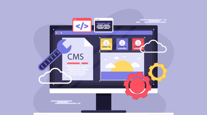 You are currently viewing Beginner’s Guide to Choosing the Right CMS for Your Business